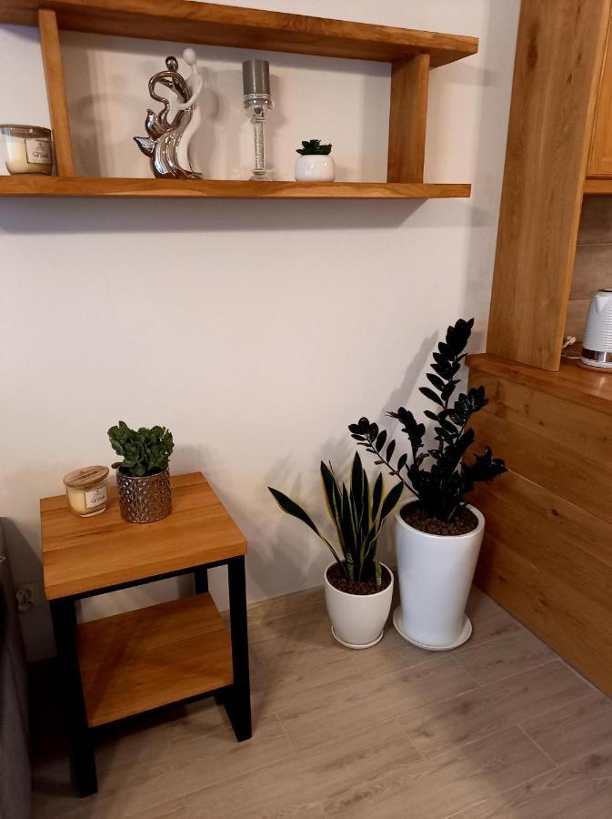 Apartment Park Starogard Gdanski